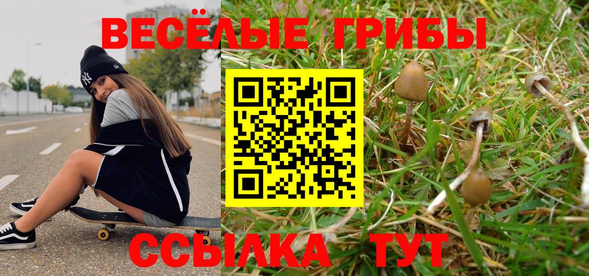 Псилоцибиновые грибы прущие грибы  Псилоцибиновые грибы Cubensis  Волхов  Вход с VPN 